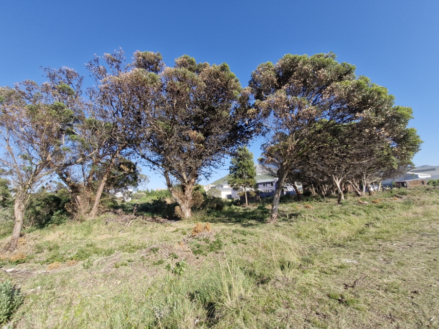 0 Bedroom Property for Sale in Bettys Bay Western Cape